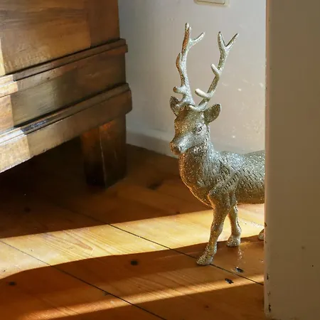 Ferienwohnung Im Sternenhof Appartement